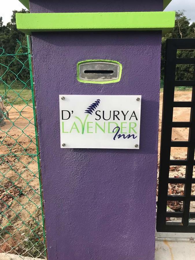 D' Surya Lavender Inn Pantai Cenang  Eksteriør billede